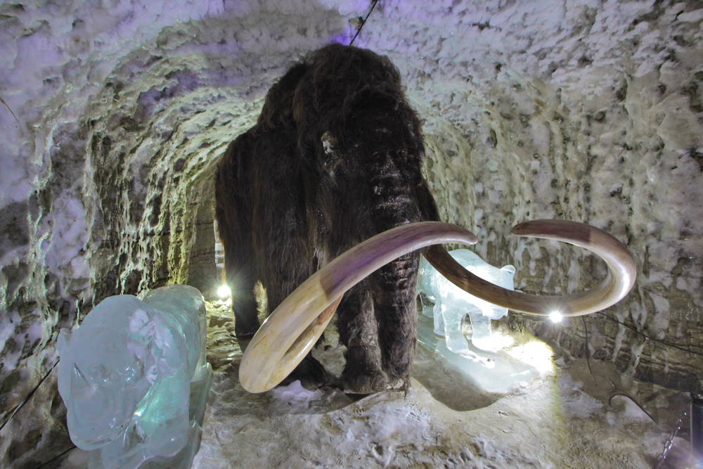Frozen Mammoth in the Kingdom of Permafrost Grotto