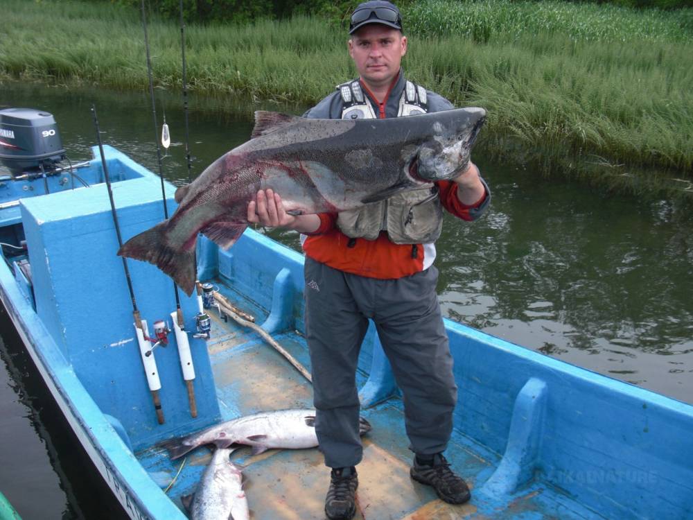 Pêche au Kamtchatka