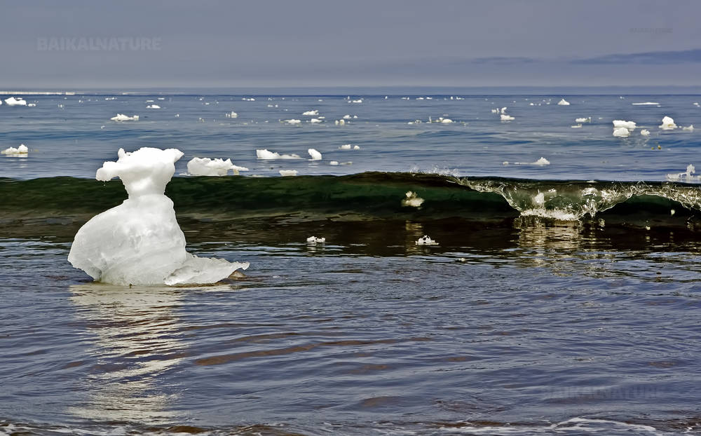 Глыбы льда в море.