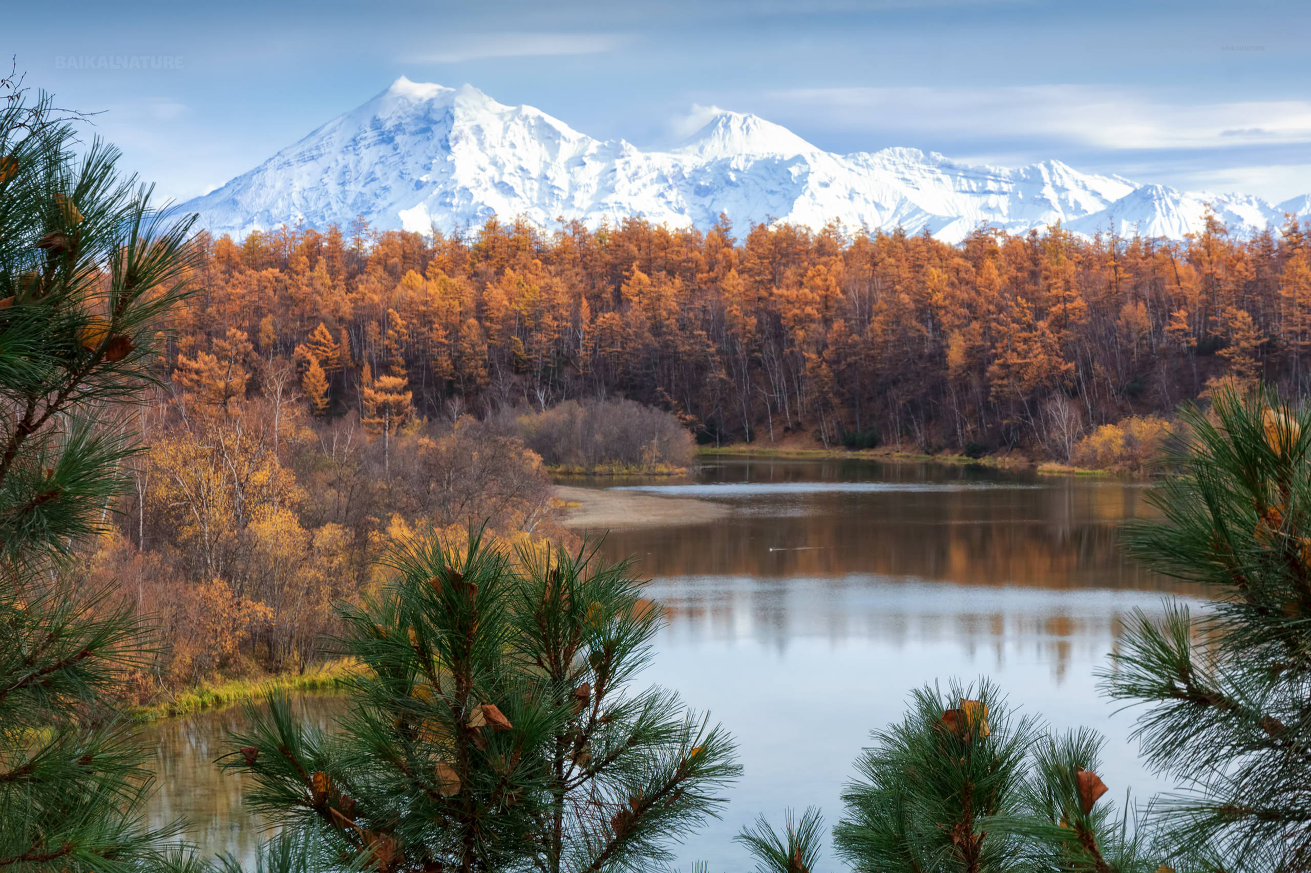 Золотая осень на Камчатке - Тур - Камчатка