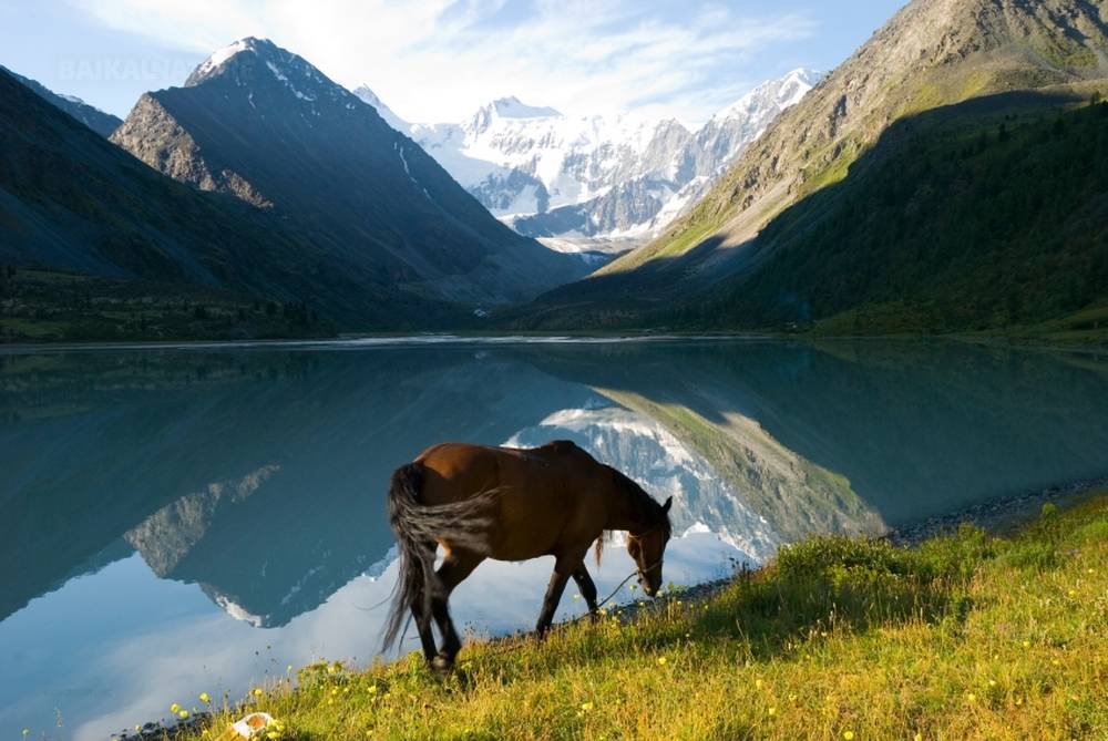 Golden Ring of Altai - Tour - Altai