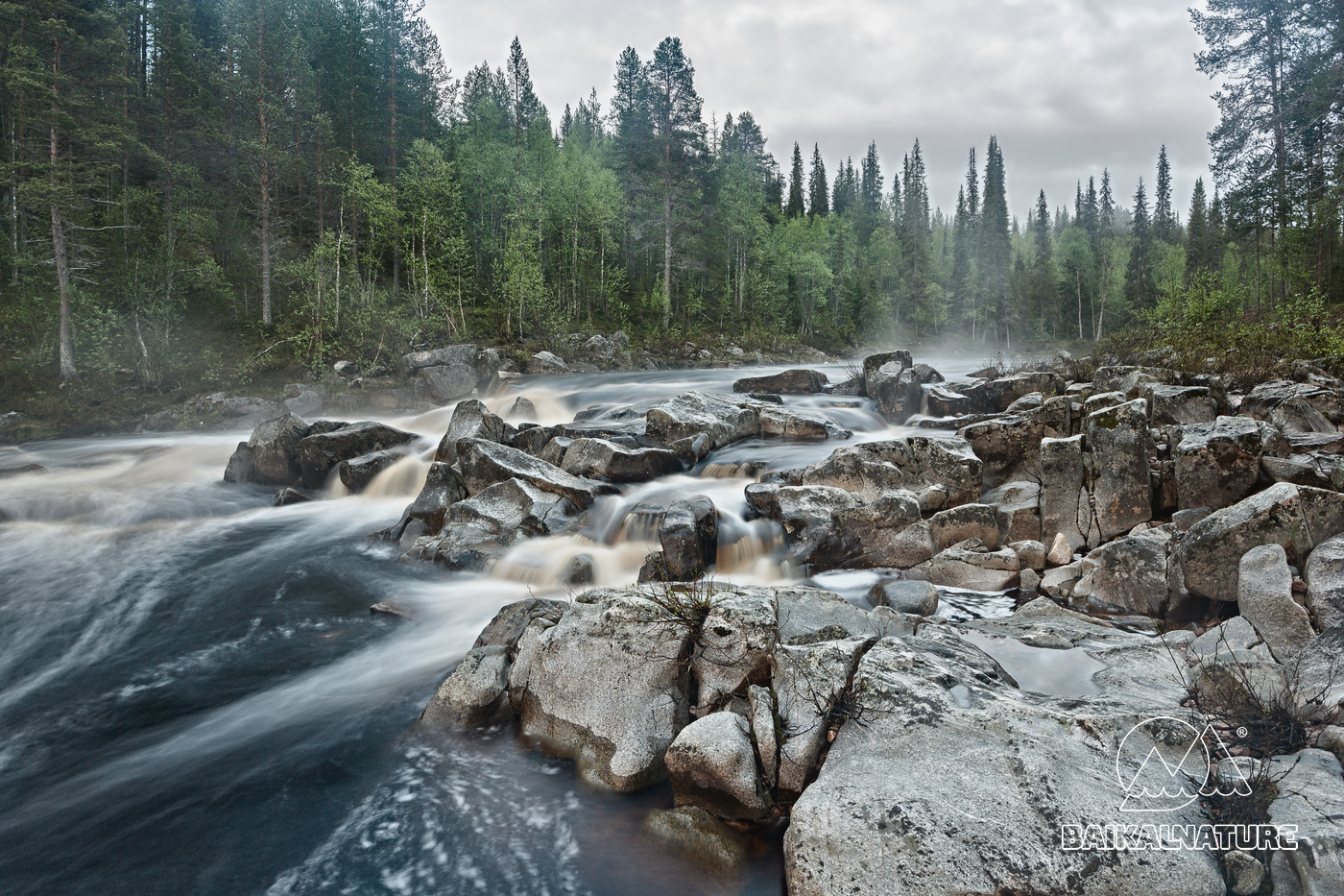 Dans les forêts de Sibérie : Un journal d'ermitage à la portée