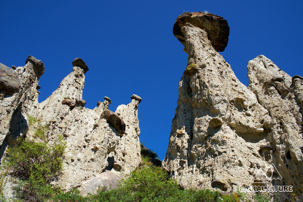Природа, чудо каменные грибы и скалы в Горном Алтае возле реки Чулышман.